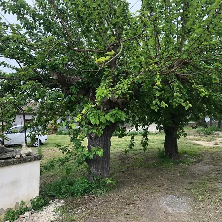 Сasa de vacaciones La Casa Tra Ulivi E Trabocchi