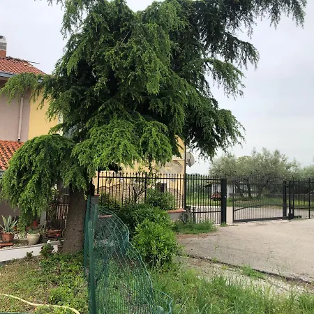 La Casa Tra Ulivi E Trabocchi Treglio