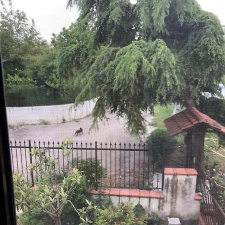 La Casa Tra Ulivi E Trabocchi * Treglio